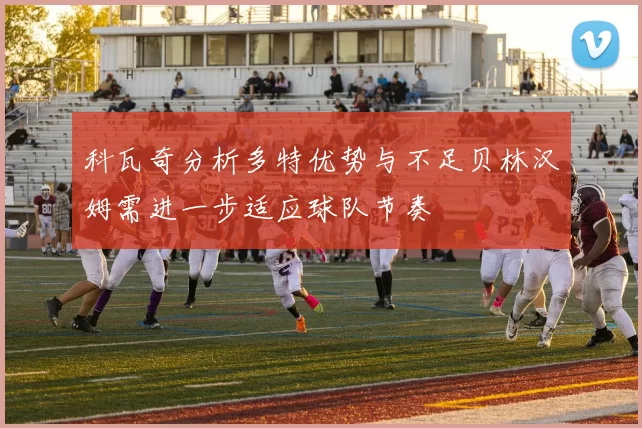 科瓦奇分析多特优势与不足贝林汉姆需进一步适应球队节奏