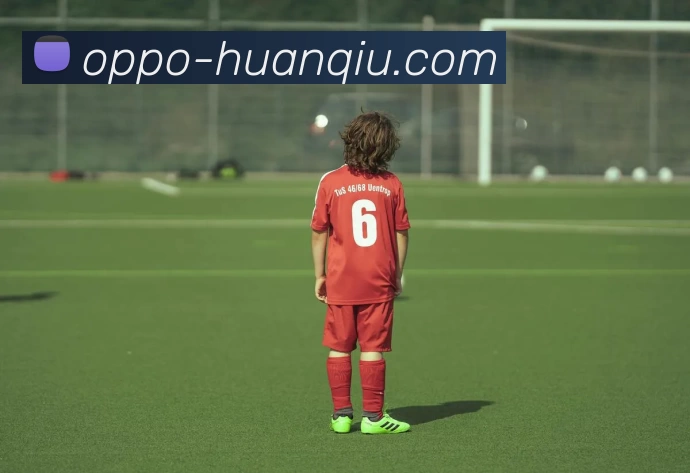 环球体育平台生态图