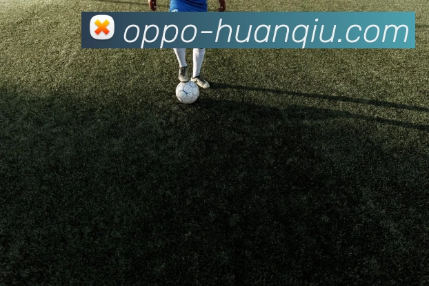 环球体育APP 封面图